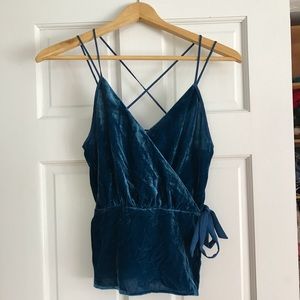 Express Velvet Blouse